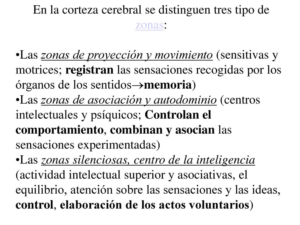 En la corteza cerebral se distinguen tres tipo de zonas: