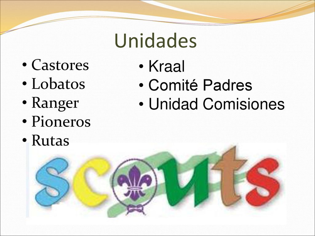 Unidades Castores Kraal Lobatos Comité Padres Ranger Unidad Comisiones