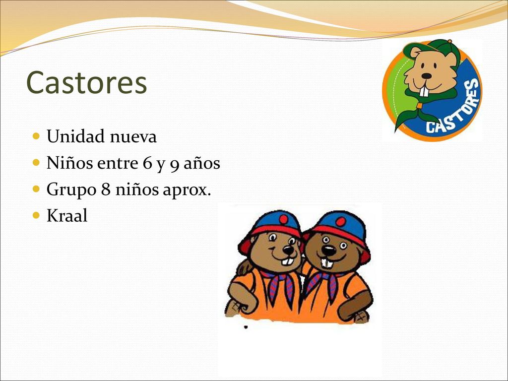 Castores Unidad nueva Niños entre 6 y 9 años Grupo 8 niños aprox.