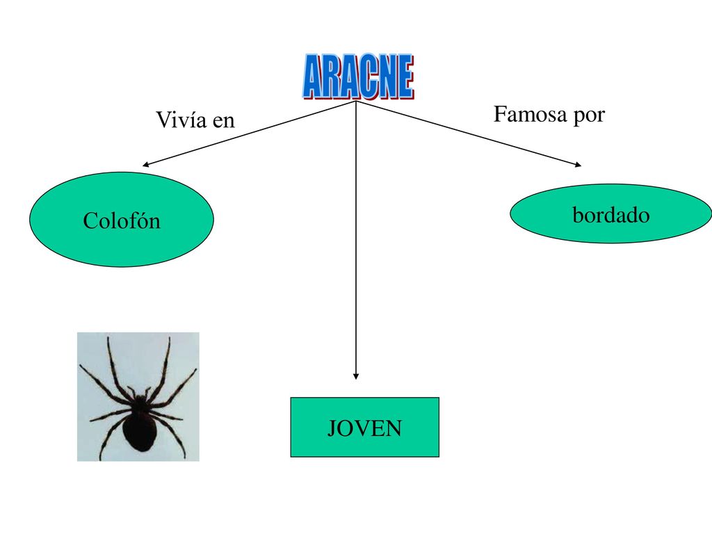 ARACNE Famosa por Vivía en Colofón bordado JOVEN