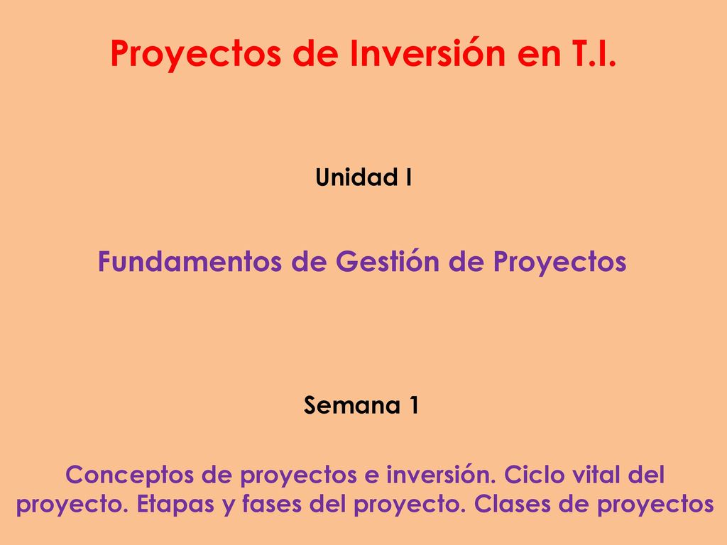 Proyectos de Inversión en T.I. Fundamentos de Gestión de Proyectos