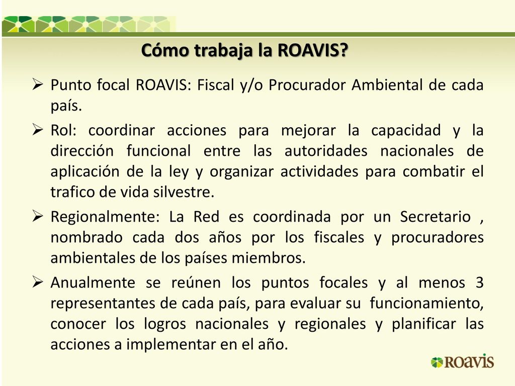 Cómo trabaja la ROAVIS Punto focal ROAVIS: Fiscal y/o Procurador Ambiental de cada país.