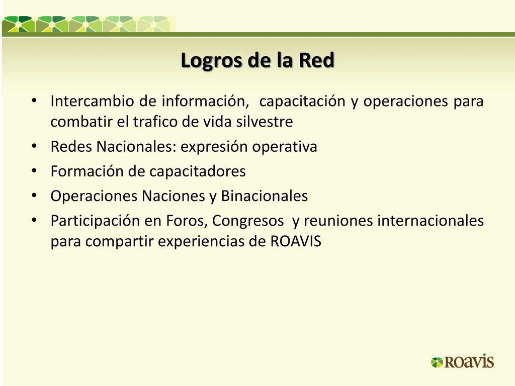 Logros de la Red Intercambio de información, capacitación y operaciones para combatir el trafico de vida silvestre.