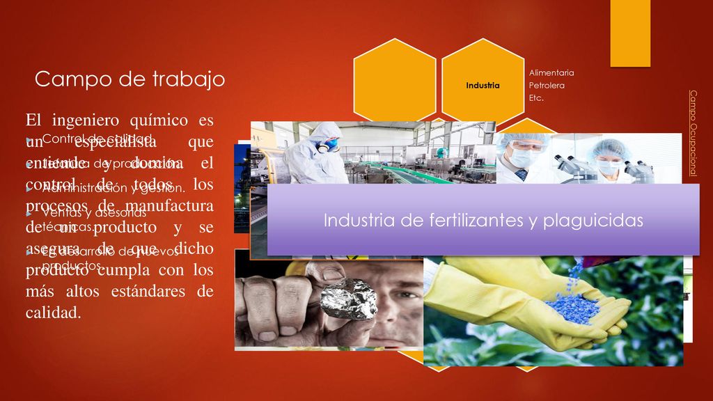 Analista de materias primas Desarrollo de productos