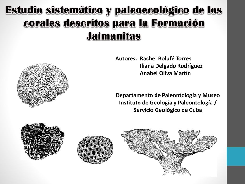 Estudio sistemático y paleoecológico de los corales descritos para la Formación Jaimanitas