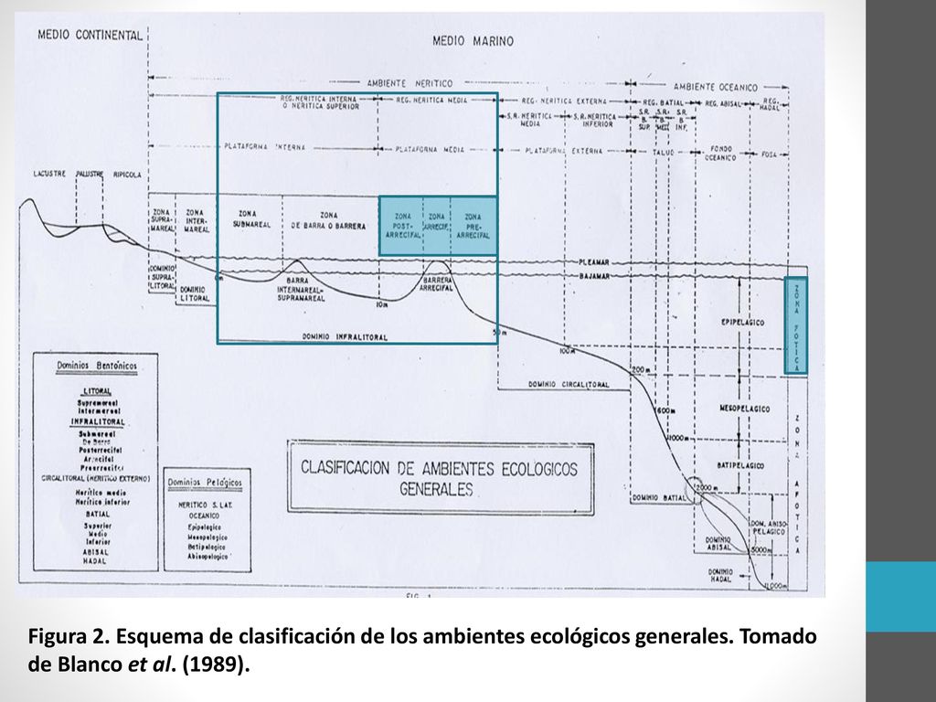 Figura 2. Esquema de clasificación de los ambientes ecológicos generales.