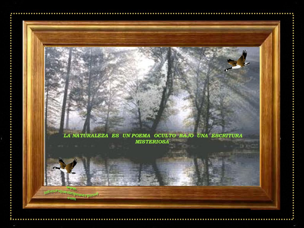 LA NATURALEZA ES UN POEMA OCULTO BAJO UNA ESCRITURA MISTERIOSA