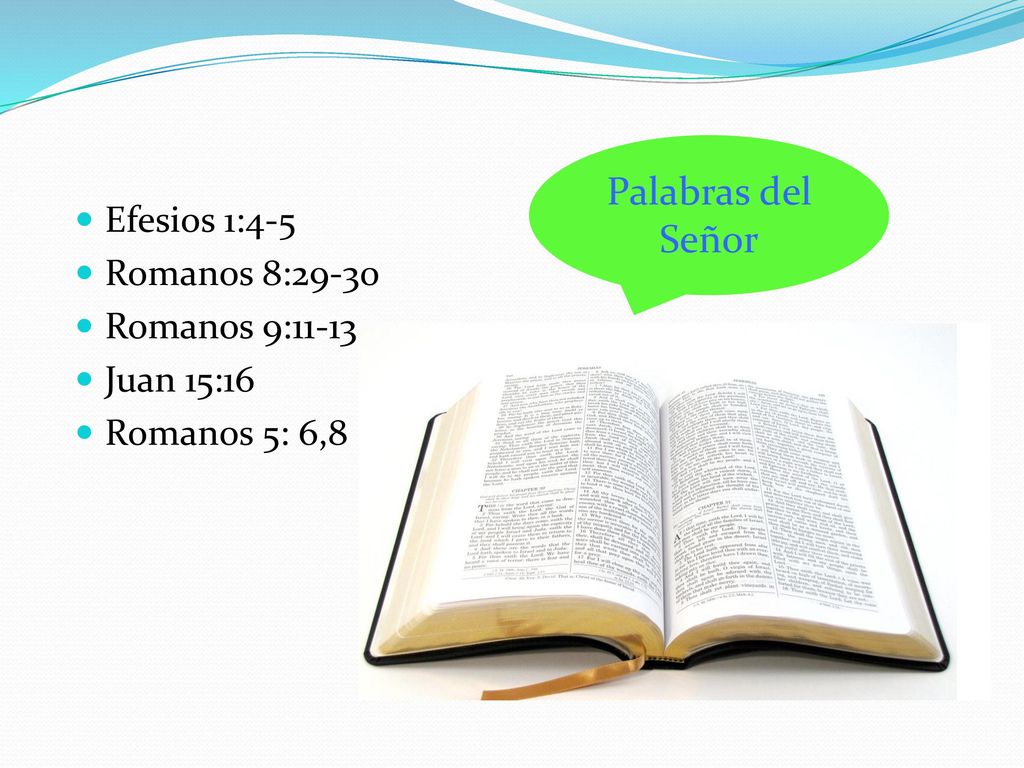 Palabras del Señor Efesios 1:4-5 Romanos 8:29-30 Romanos 9:11-13