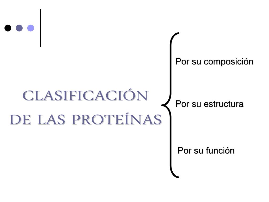CLASIFICACIÓN DE LAS PROTEÍNAS Por su composición Por su estructura