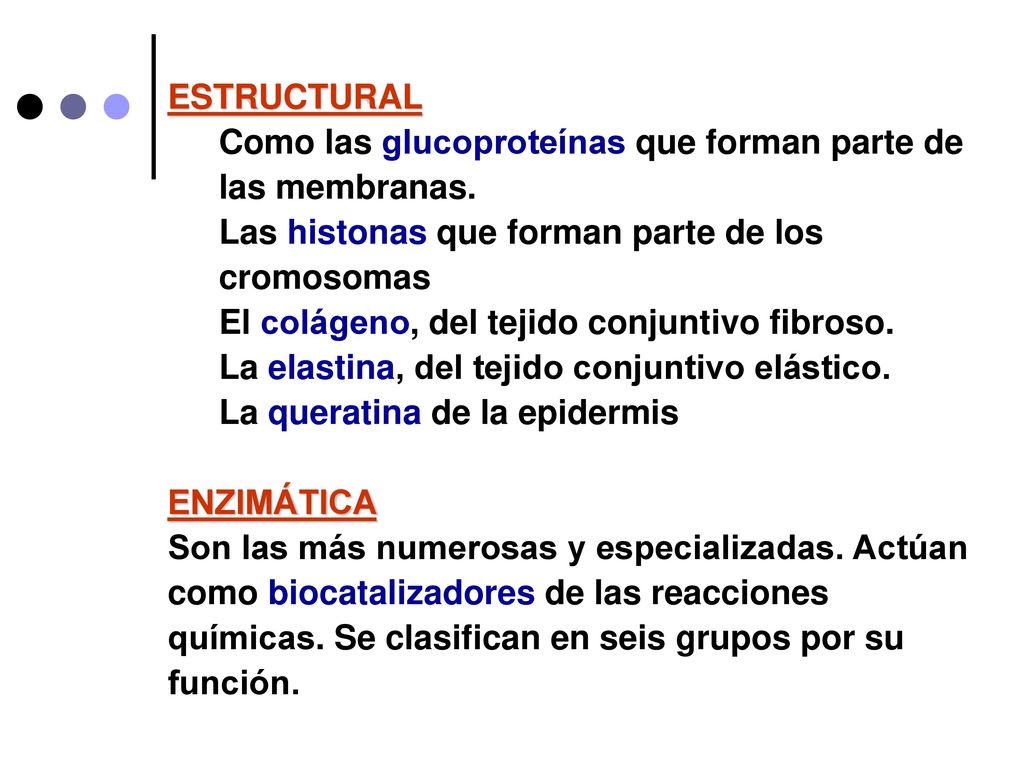 ESTRUCTURAL Como las glucoproteínas que forman parte de las membranas. Las histonas que forman parte de los cromosomas.