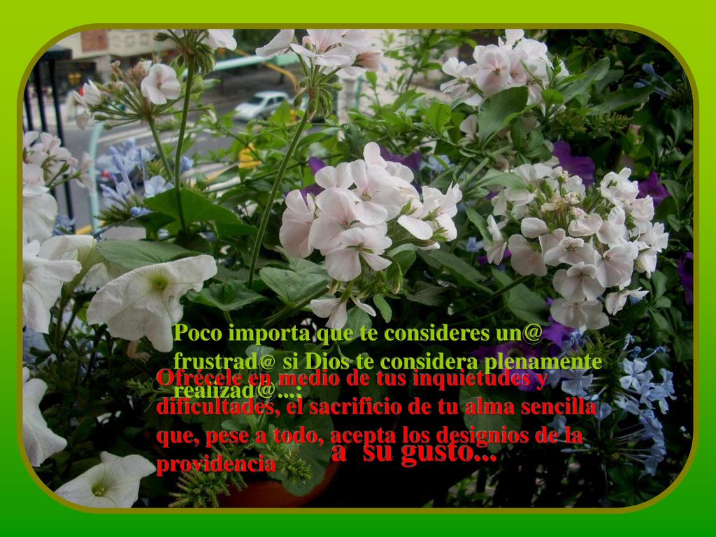 Poco importa que te consideres  si Dios te considera plenamente