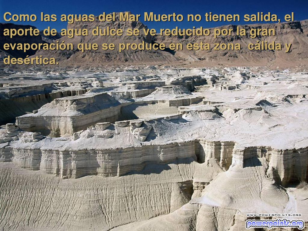 Como las aguas del Mar Muerto no tienen salida, el aporte de agua dulce se ve reducido por la gran evaporación que se produce en esta zona cálida y desértica.