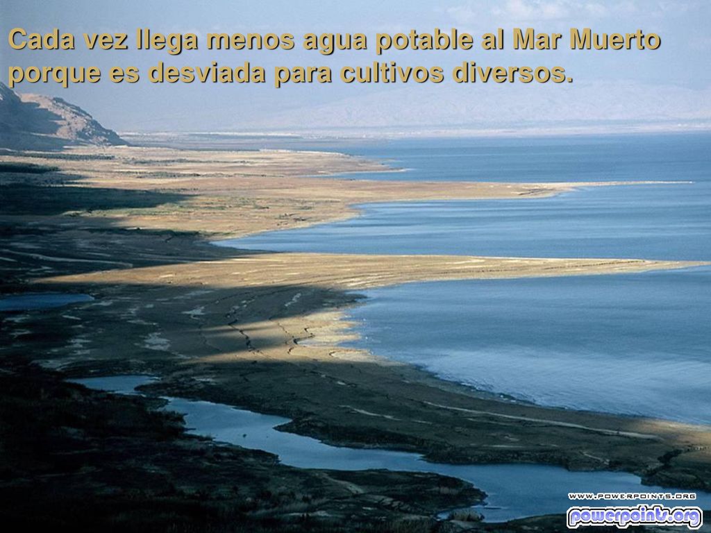 Cada vez llega menos agua potable al Mar Muerto porque es desviada para cultivos diversos.