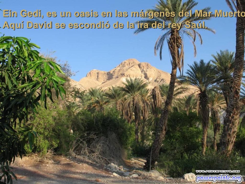 Ein Gedi, es un oasis en las márgenes del Mar Muerto.