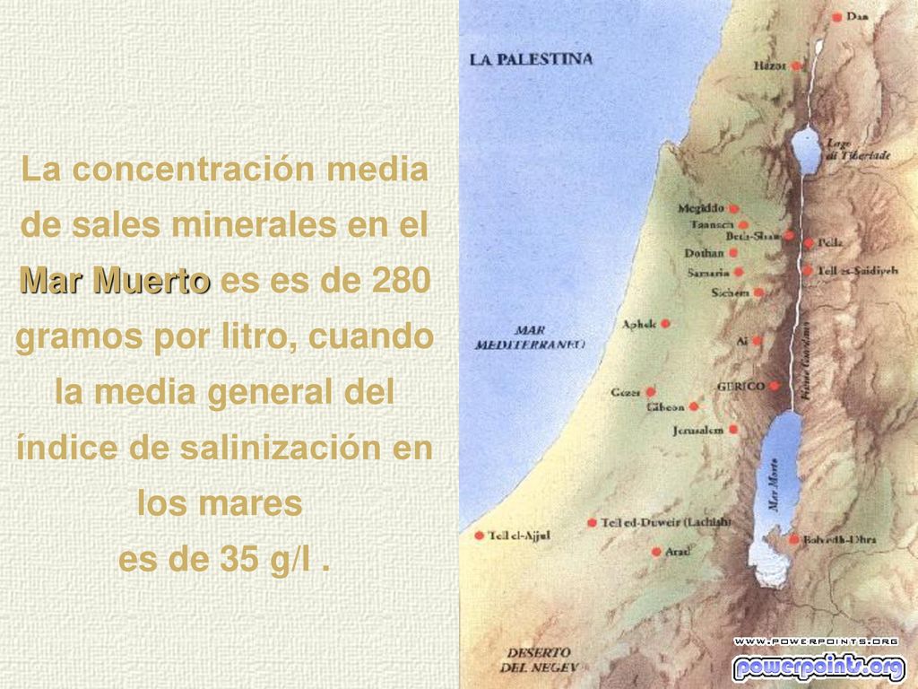 La concentración media de sales minerales en el Mar Muerto es es de 280 gramos por litro, cuando la media general del índice de salinización en los mares
