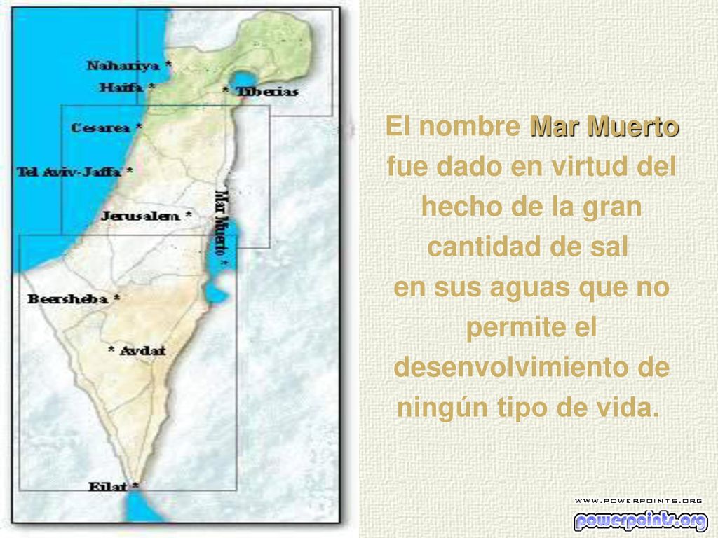 El nombre Mar Muerto fue dado en virtud del hecho de la gran cantidad de sal