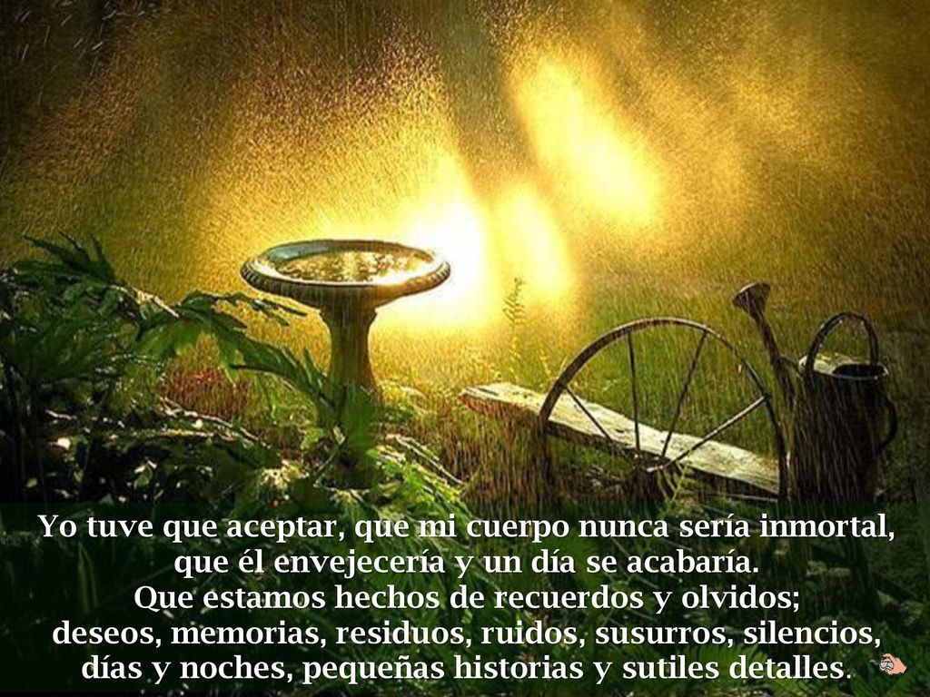 Yo tuve que aceptar, que mi cuerpo nunca sería inmortal, que él envejecería y un día se acabaría.