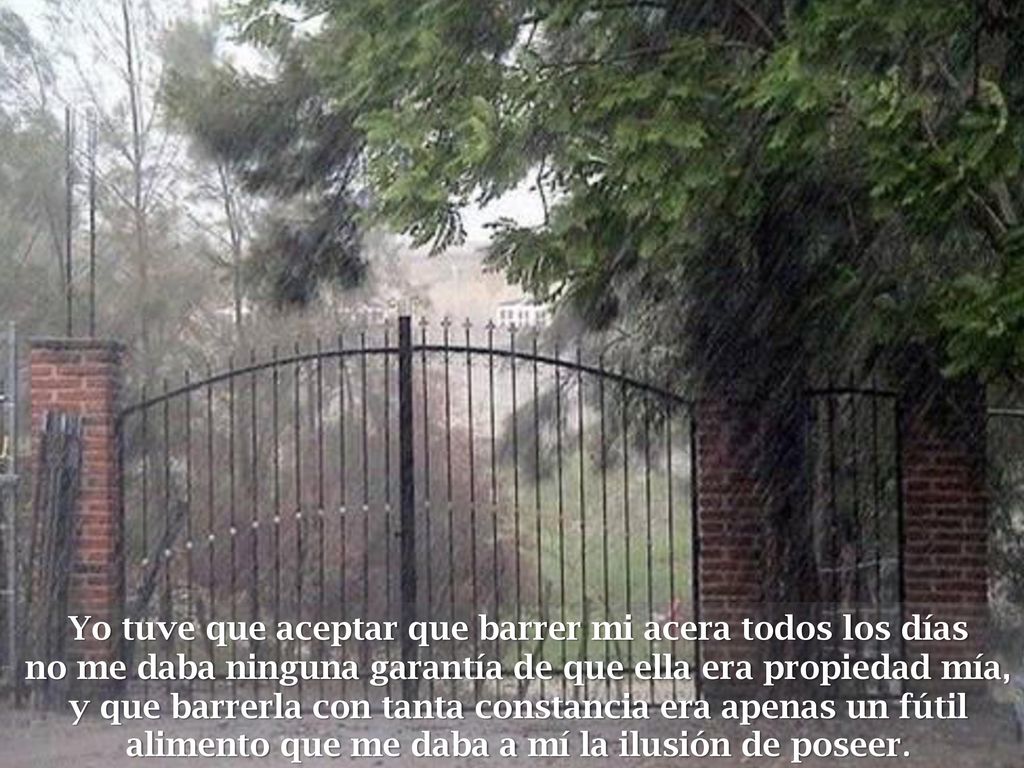Yo tuve que aceptar que barrer mi acera todos los días no me daba ninguna garantía de que ella era propiedad mía,