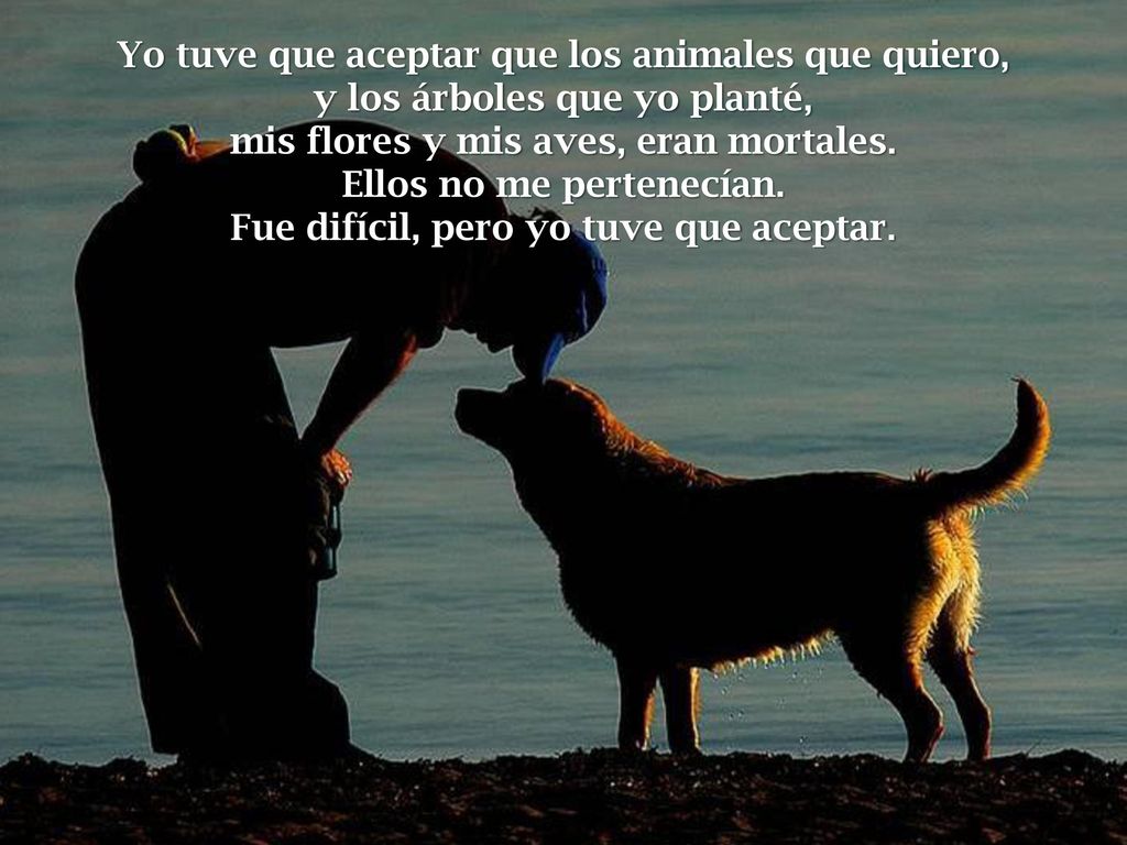 Ellos no me pertenecían. Fue difícil, pero yo tuve que aceptar.