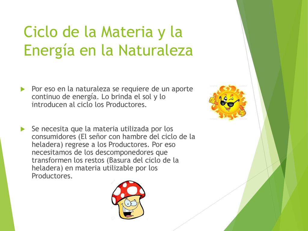 Ciclo de la Materia y la Energía en la Naturaleza
