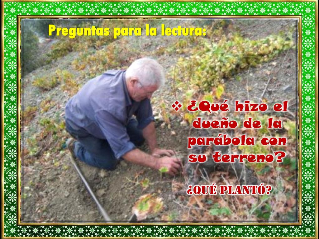 ¿Qué hizo el dueño de la parábola con su terreno