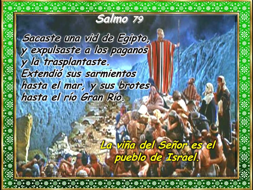 La viña del Señor es el pueblo de Israel.