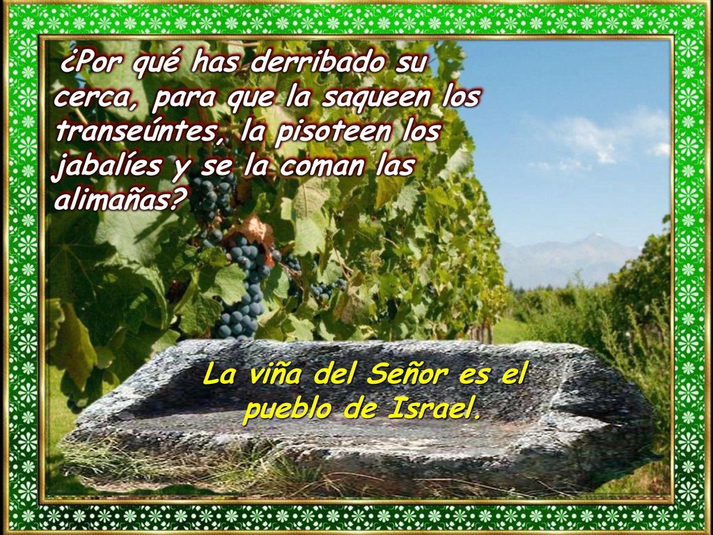 La viña del Señor es el pueblo de Israel.
