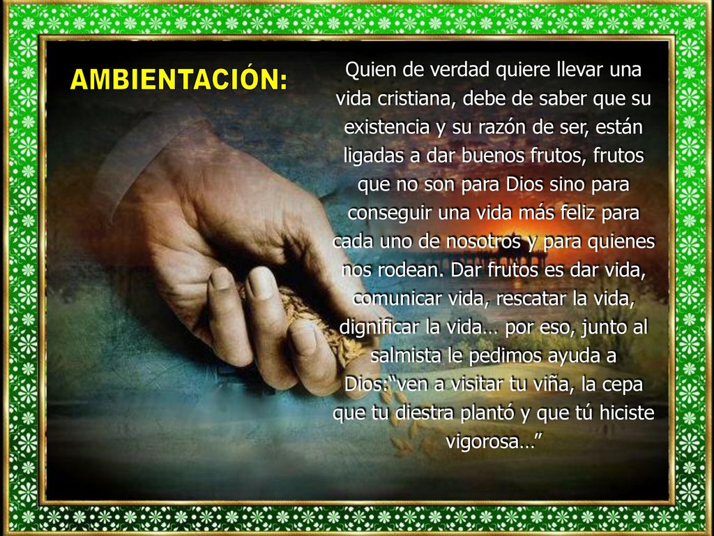 Quien de verdad quiere llevar una vida cristiana, debe de saber que su existencia y su razón de ser, están ligadas a dar buenos frutos, frutos que no son para Dios sino para conseguir una vida más feliz para cada uno de nosotros y para quienes nos rodean. Dar frutos es dar vida, comunicar vida, rescatar la vida, dignificar la vida… por eso, junto al salmista le pedimos ayuda a Dios: ven a visitar tu viña, la cepa que tu diestra plantó y que tú hiciste vigorosa…