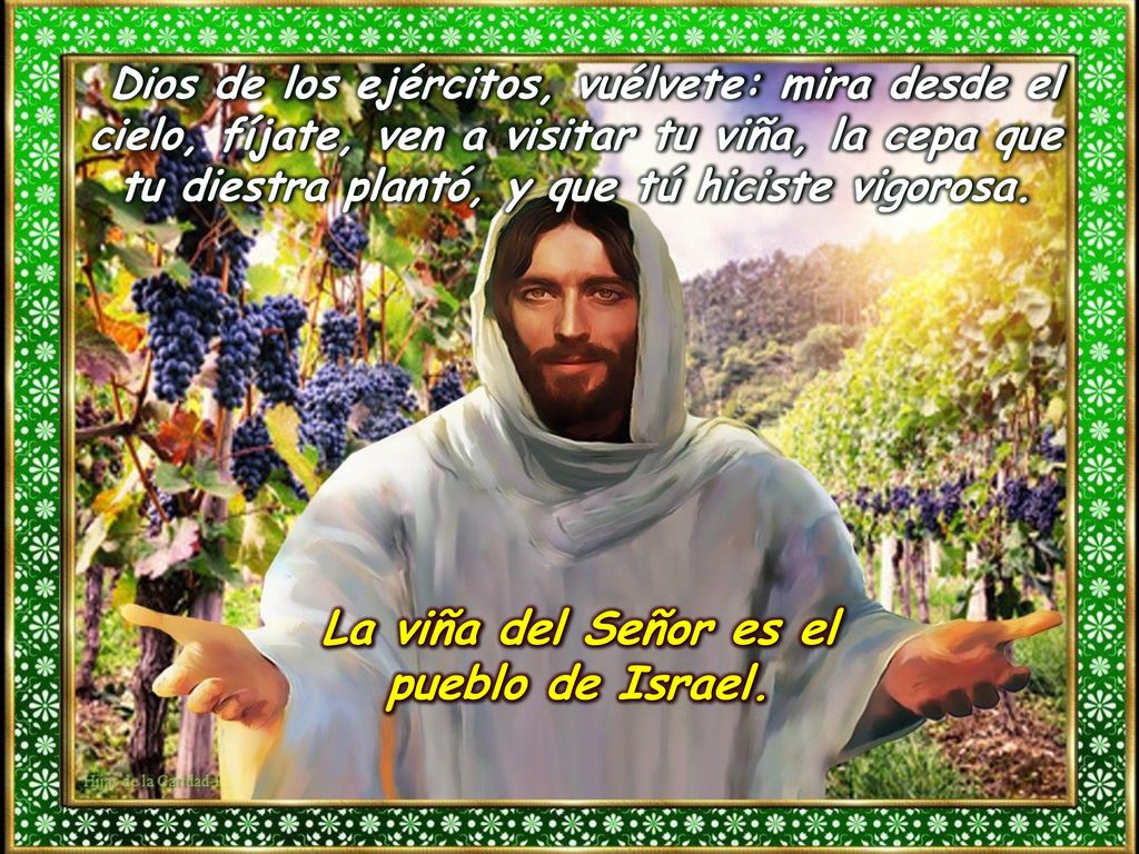 La viña del Señor es el pueblo de Israel.