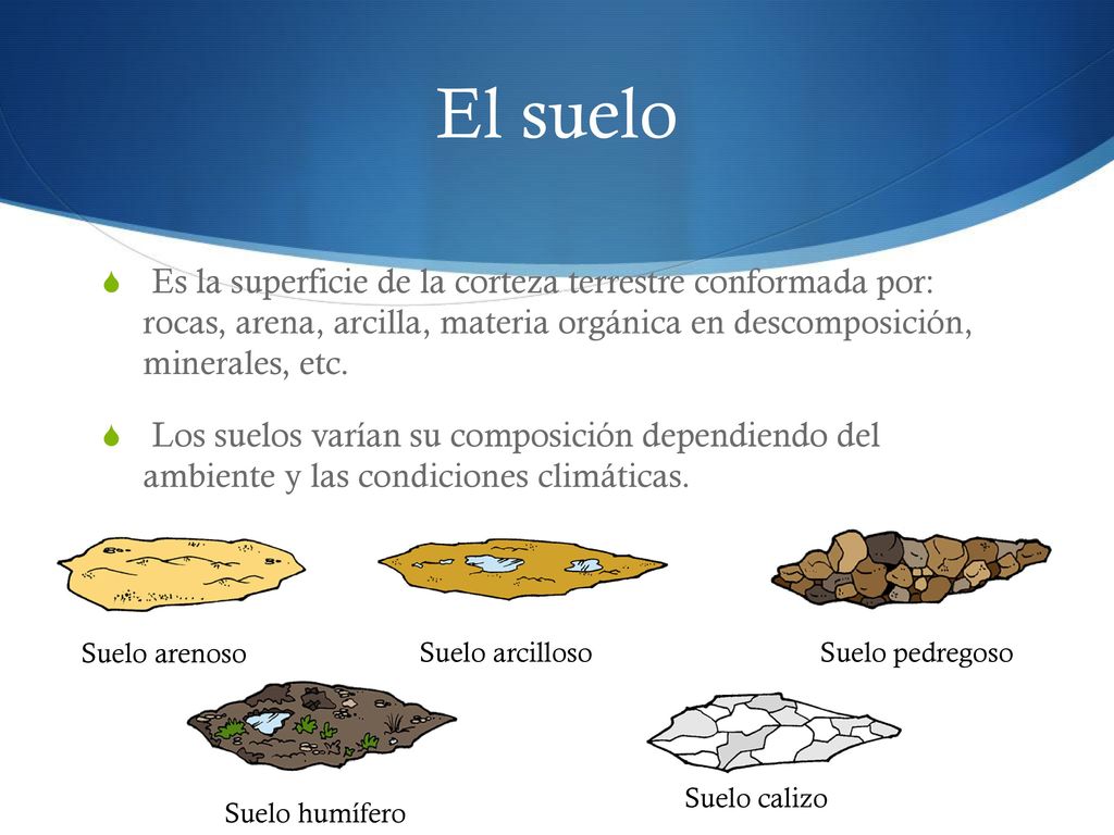 El suelo Es la superficie de la corteza terrestre conformada por: rocas, arena, arcilla, materia orgánica en descomposición, minerales, etc.