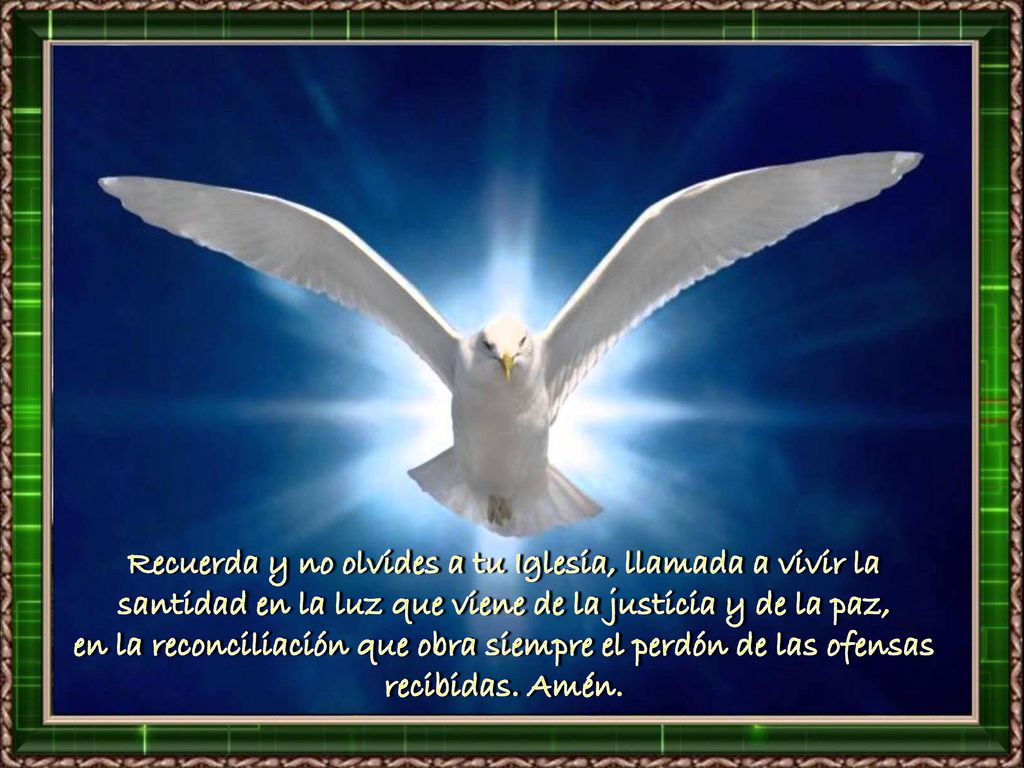 Recuerda y no olvides a tu Iglesia, llamada a vivir la santidad en la luz que viene de la justicia y de la paz,