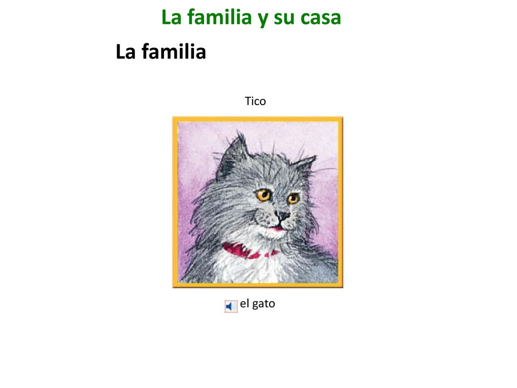 La familia y su casa La familia Tico el gato