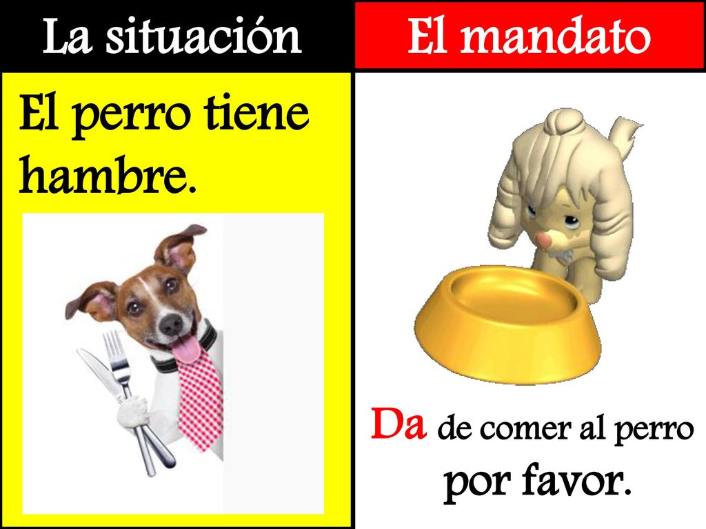 La situación El mandato El perro tiene hambre. Da de comer al perro