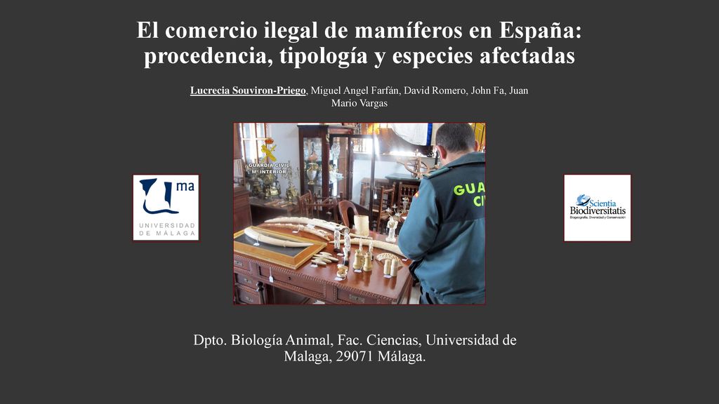 El comercio ilegal de mamíferos en España: procedencia, tipología y especies afectadas