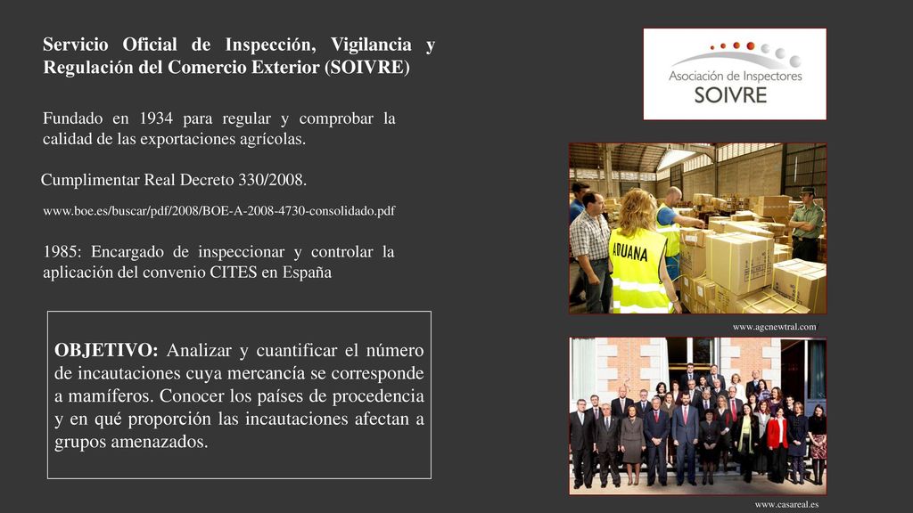 Servicio Oficial de Inspección, Vigilancia y Regulación del Comercio Exterior (SOIVRE)
