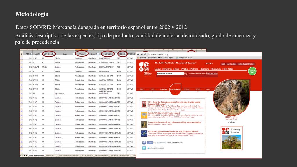 Metodología Datos SOIVRE: Mercancía denegada en territorio español entre 2002 y