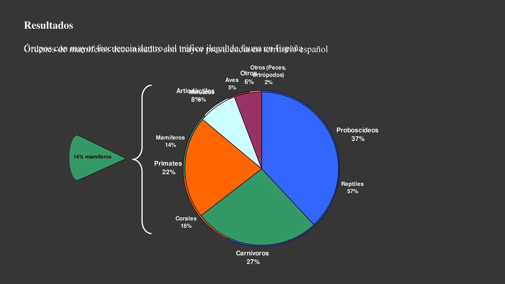Resultados Órdenes de mamíferos decomisados con mayor prevalencia en territorio español.