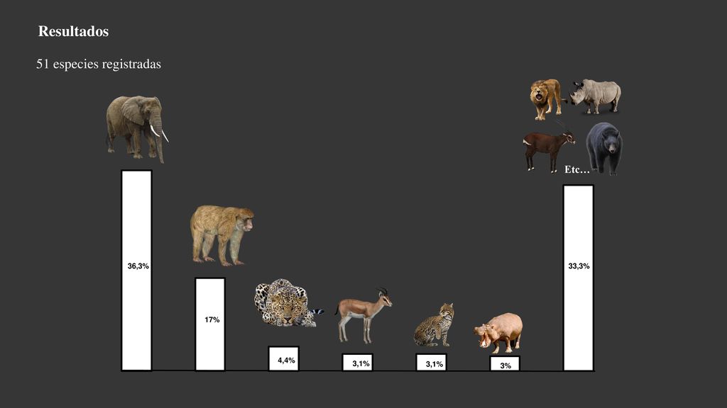 Resultados 51 especies registradas Etc… 36,3% 33,3% 17% 4,4% 3,1% 3,1%