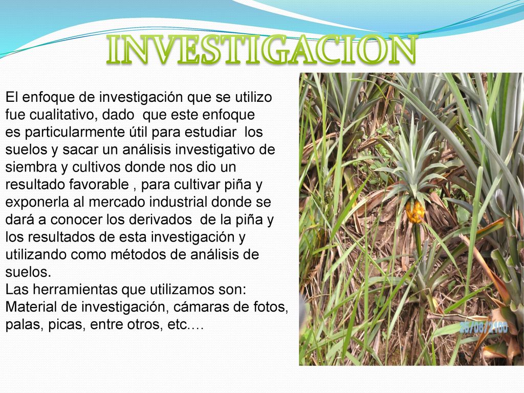 INVESTIGACION El enfoque de investigación que se utilizo fue cualitativo, dado que este enfoque.