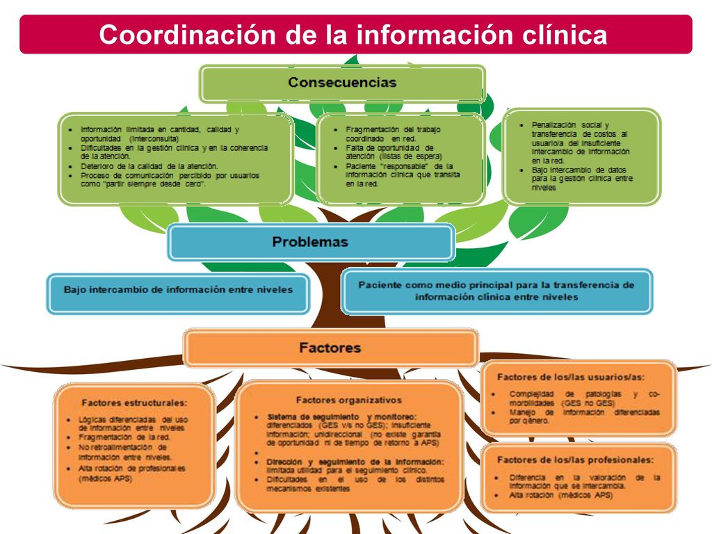 Coordinación de la información clínica
