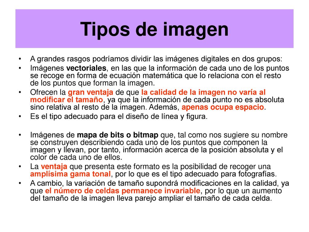 Tipos de imagen A grandes rasgos podríamos dividir las imágenes digitales en dos grupos: