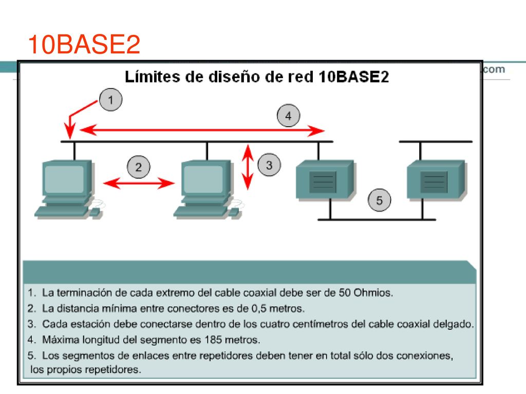 10BASE2 La tecnología 10BASE2 se introdujo en La instalación fue más sencilla debido a su menor tamaño y peso, y por su mayor flexibilidad.