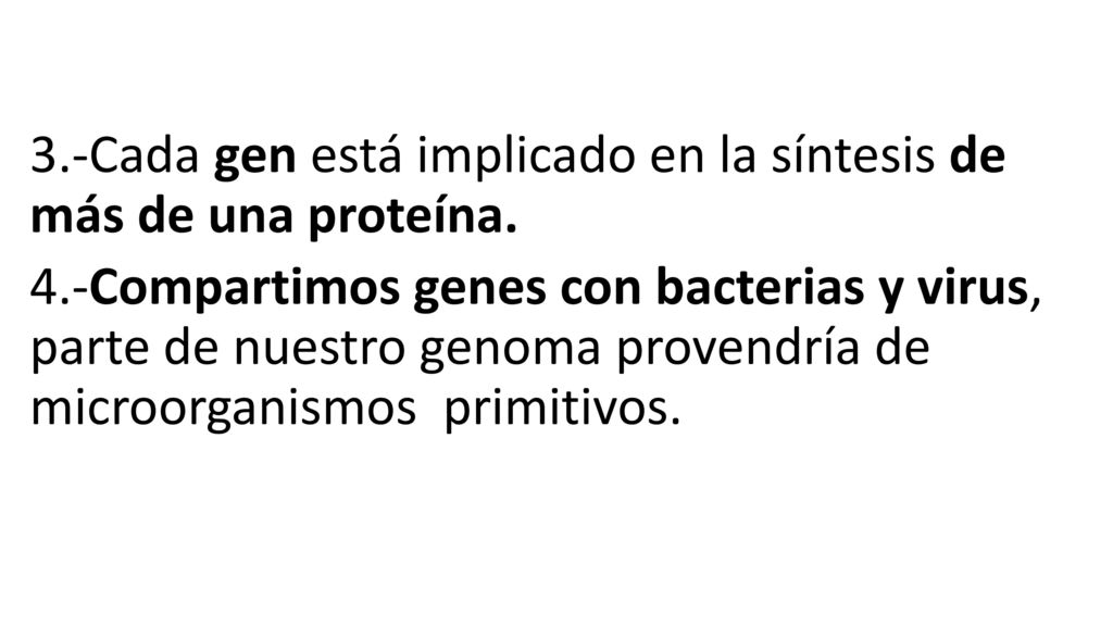 3. -Cada gen está implicado en la síntesis de más de una proteína. 4