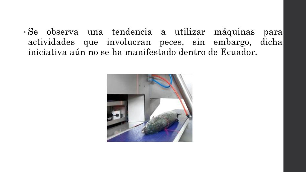 Se observa una tendencia a utilizar máquinas para actividades que involucran peces, sin embargo, dicha iniciativa aún no se ha manifestado dentro de Ecuador.