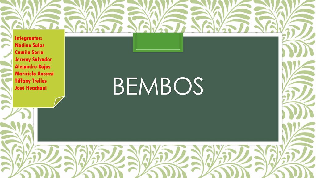 bembos Integrantes: Nadine Salas Camila Soria Jeremy Salvador