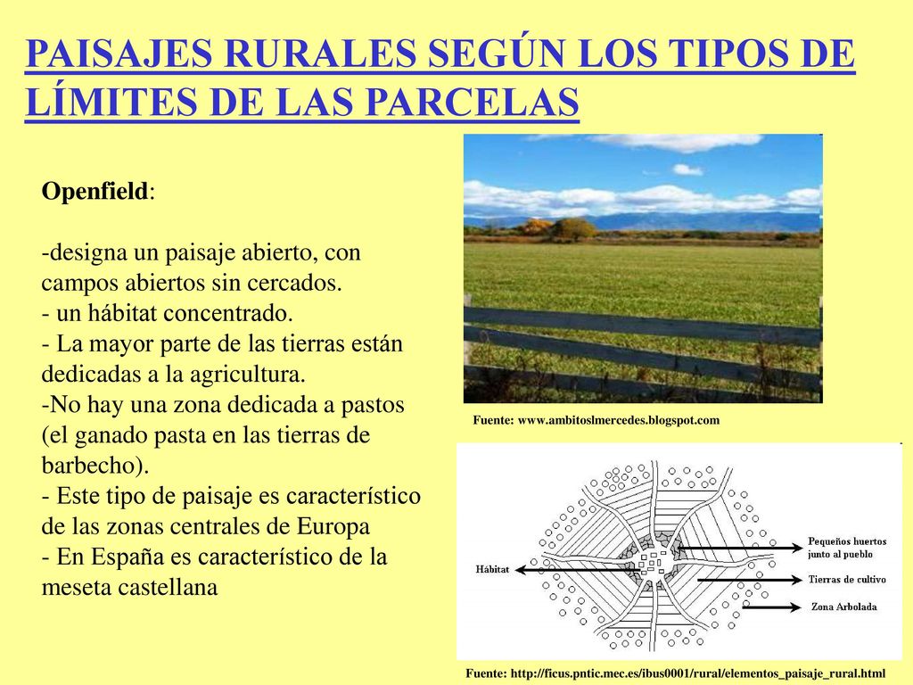PAISAJES RURALES SEGÚN LOS TIPOS DE LÍMITES DE LAS PARCELAS