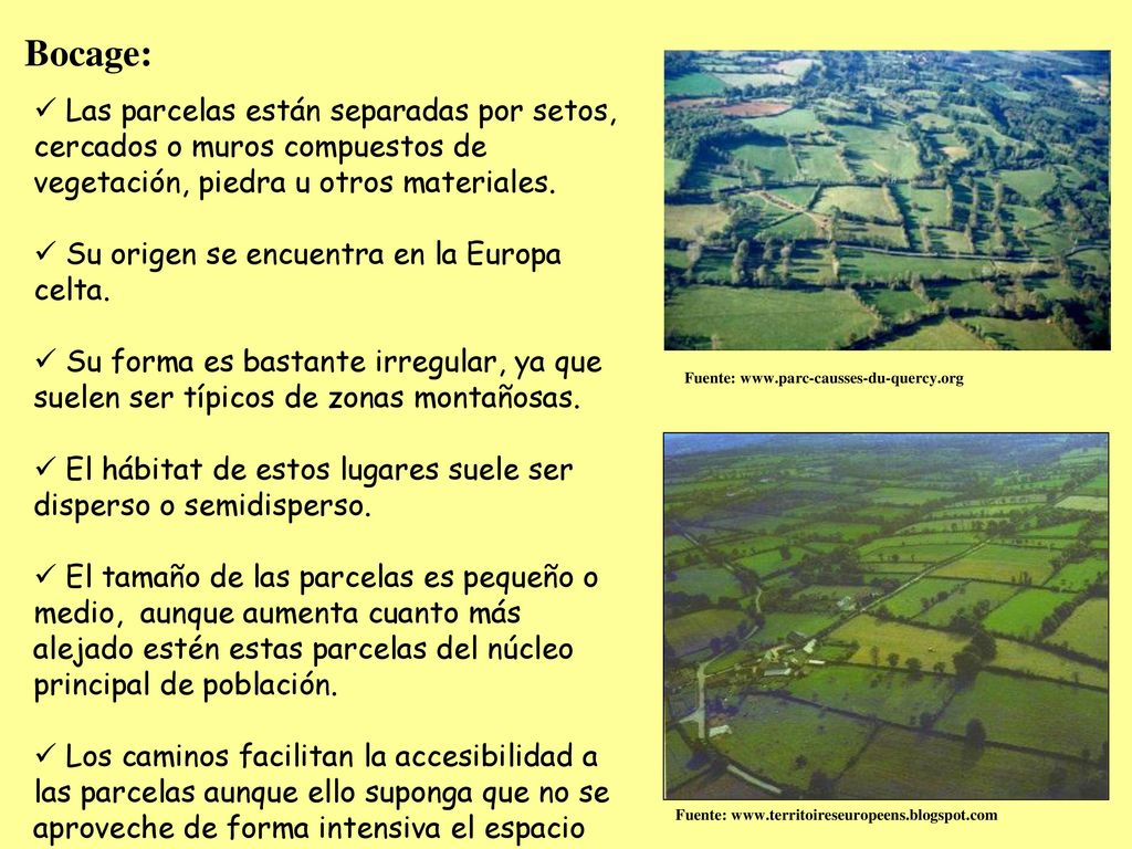 Bocage: Las parcelas están separadas por setos, cercados o muros compuestos de vegetación, piedra u otros materiales.