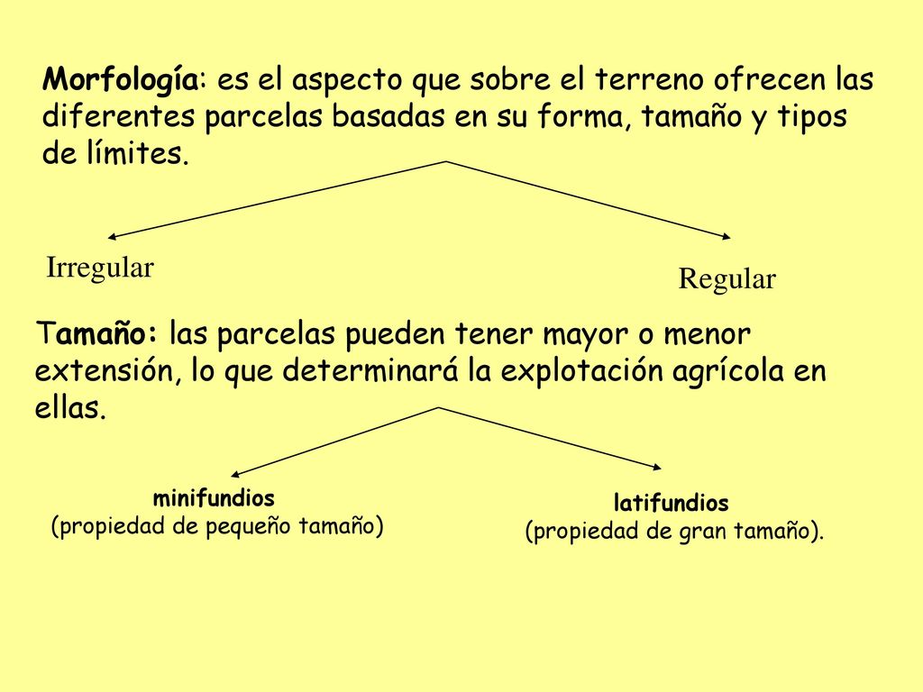 Morfología: es el aspecto que sobre el terreno ofrecen las diferentes parcelas basadas en su forma, tamaño y tipos de límites.