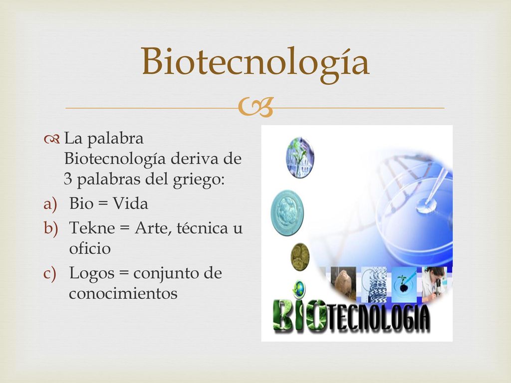 Biotecnología La palabra Biotecnología deriva de 3 palabras del griego: Bio = Vida. Tekne = Arte, técnica u oficio.