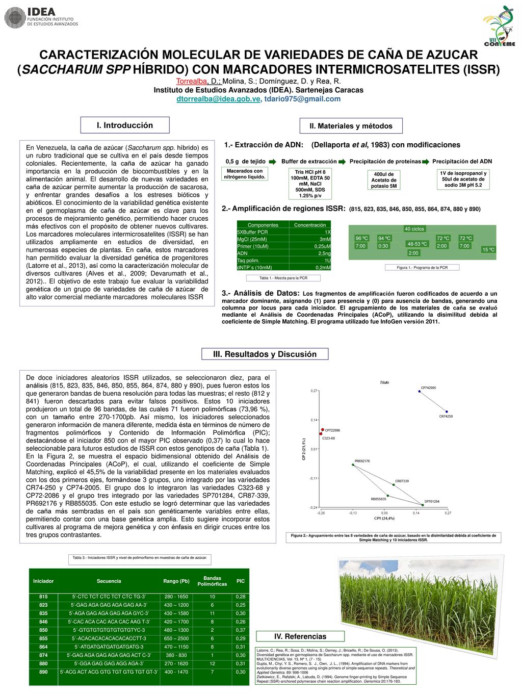 CARACTERIZACIÓN MOLECULAR DE VARIEDADES DE CAÑA DE AZUCAR (SACCHARUM SPP HÍBRIDO) CON MARCADORES INTERMICROSATELITES (ISSR)